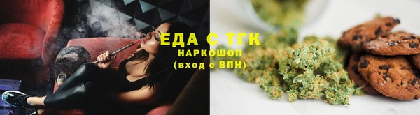 твердый Бородино