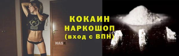 твердый Бородино