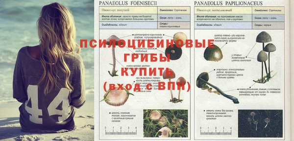 ГАЛЛЮЦИНОГЕННЫЕ ГРИБЫ Бронницы