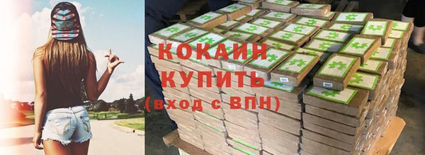 твердый Бородино