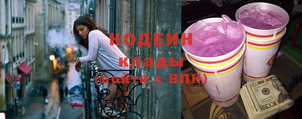 твердый Бородино