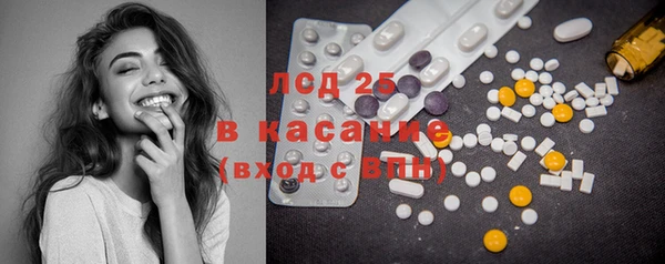 твердый Бородино