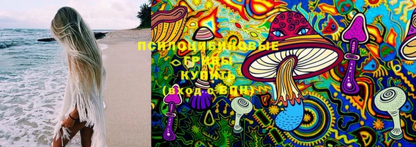 твердый Бородино