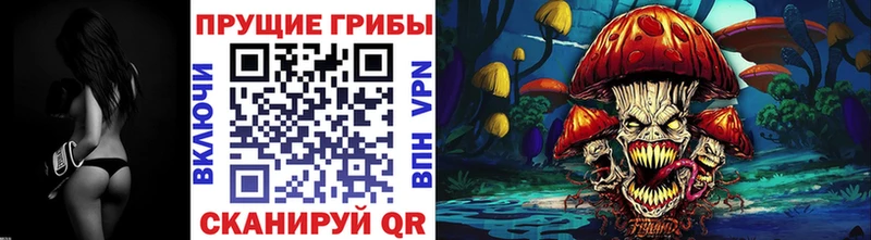 даркнет сайт  Юхнов  Галлюциногенные грибы Magic Shrooms 
